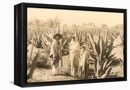 Natives on Maguey Plantation, Mexico-null-Framed Stretched Canvas