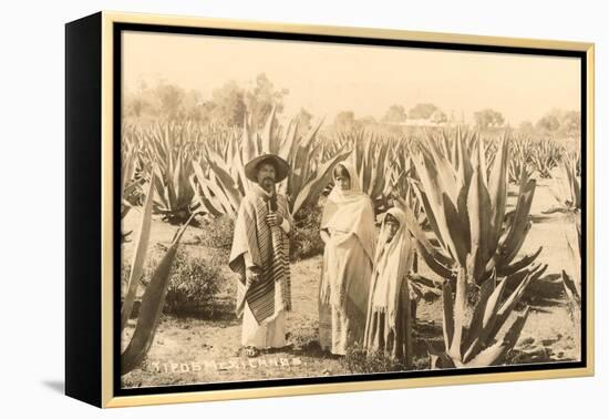 Natives on Maguey Plantation, Mexico-null-Framed Stretched Canvas