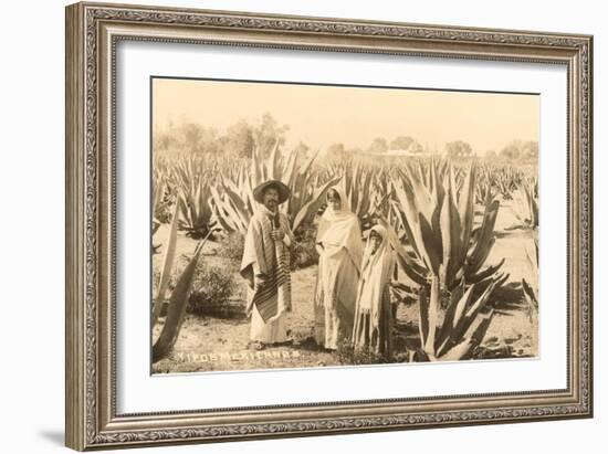 Natives on Maguey Plantation, Mexico-null-Framed Art Print