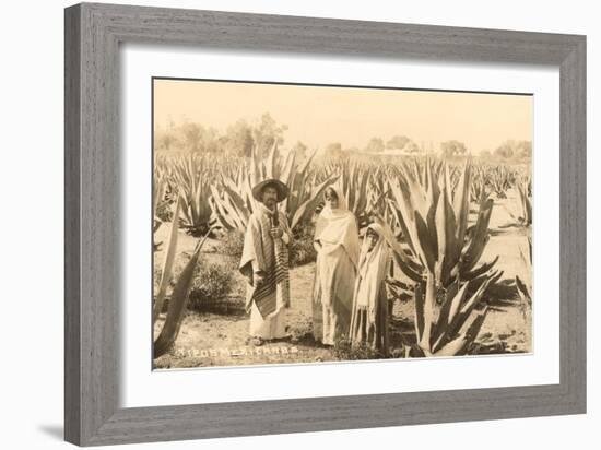 Natives on Maguey Plantation, Mexico-null-Framed Art Print