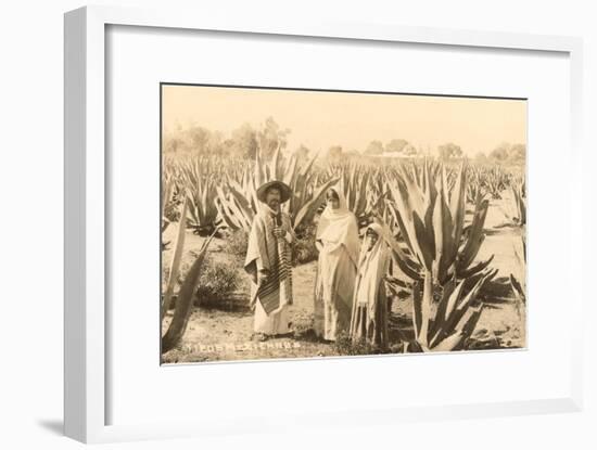 Natives on Maguey Plantation, Mexico-null-Framed Art Print