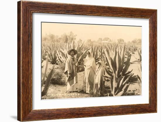 Natives on Maguey Plantation, Mexico-null-Framed Art Print