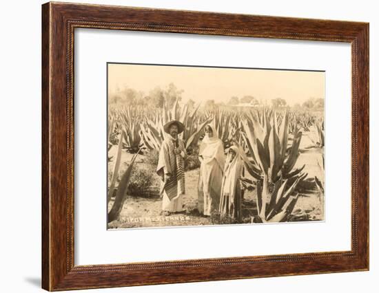 Natives on Maguey Plantation, Mexico-null-Framed Art Print