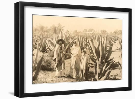 Natives on Maguey Plantation, Mexico-null-Framed Art Print