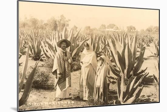 Natives on Maguey Plantation, Mexico-null-Mounted Art Print