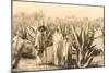 Natives on Maguey Plantation, Mexico-null-Mounted Art Print