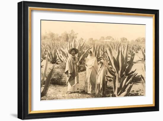 Natives on Maguey Plantation, Mexico-null-Framed Art Print