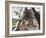 Natives Working in the Spanish Mines of Mexico-null-Framed Giclee Print