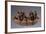 Nativity, Nativity Scene in Painted Terracotta Boat, Peru-null-Framed Giclee Print