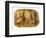 Nativity of Christ by Botticelli-Sandro Botticelli-Framed Premium Giclee Print