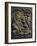 Nativity, Panel-Lorenzo Ghiberti-Framed Giclee Print