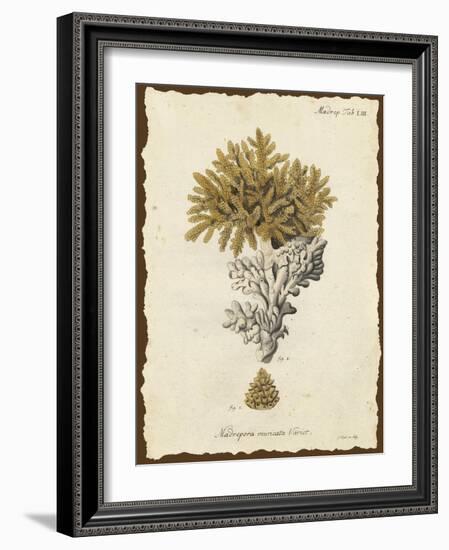 Natura Coral III-Johann Esper-Framed Art Print