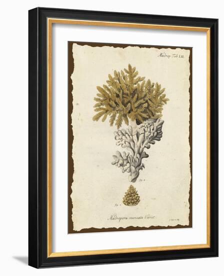 Natura Coral III-Johann Esper-Framed Art Print