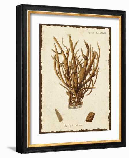 Natura Coral V-Johann Esper-Framed Art Print