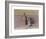 Natura Morta 1956-Giorgio Morandi-Framed Art Print