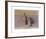 Natura Morta 1956-Giorgio Morandi-Framed Art Print