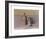 Natura Morta 1956-Giorgio Morandi-Framed Art Print