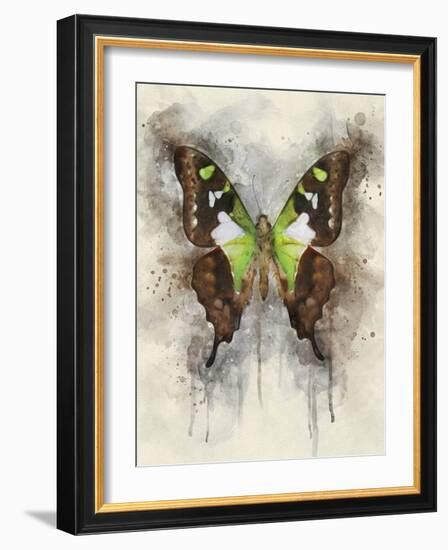 Natural Abstraction I-Leda Robertson-Framed Art Print