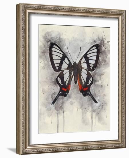 Natural Abstraction II-Leda Robertson-Framed Art Print