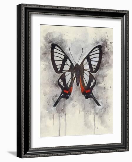 Natural Abstraction II-Leda Robertson-Framed Art Print