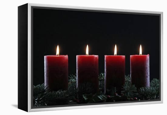 Natural Advent wreath or crown with four burning red candles, Christmas composition, France, Europe-Godong-Framed Premier Image Canvas