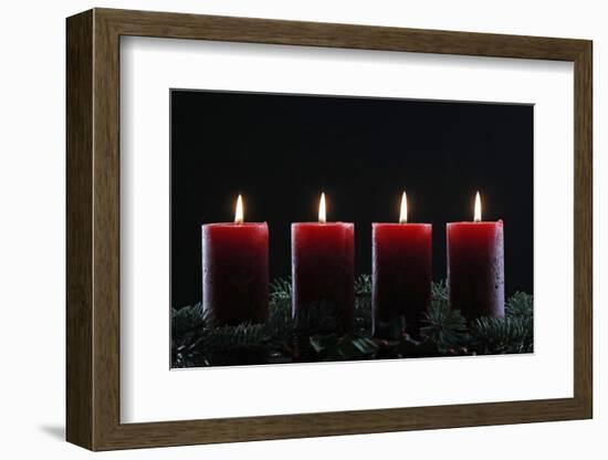 Natural Advent wreath or crown with four burning red candles, Christmas composition, France, Europe-Godong-Framed Photographic Print