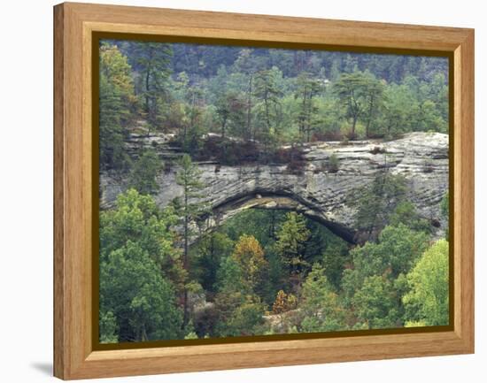 Natural Arch, Daniel Boone National Forest, Whitley City, Kentucky, USA-Adam Jones-Framed Premier Image Canvas