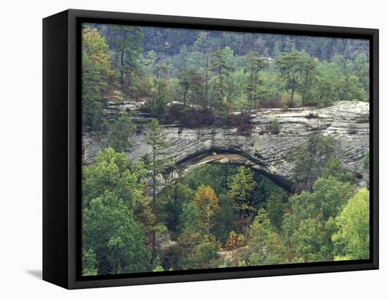 Natural Arch, Daniel Boone National Forest, Whitley City, Kentucky, USA-Adam Jones-Framed Premier Image Canvas