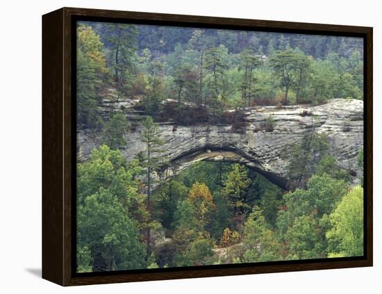 Natural Arch, Daniel Boone National Forest, Whitley City, Kentucky, USA-Adam Jones-Framed Premier Image Canvas