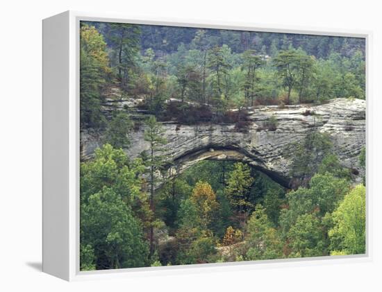 Natural Arch, Daniel Boone National Forest, Whitley City, Kentucky, USA-Adam Jones-Framed Premier Image Canvas