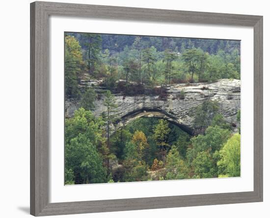 Natural Arch, Daniel Boone National Forest, Whitley City, Kentucky, USA-Adam Jones-Framed Photographic Print