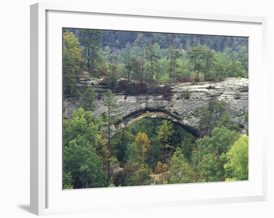 Natural Arch, Daniel Boone National Forest, Whitley City, Kentucky, USA-Adam Jones-Framed Photographic Print