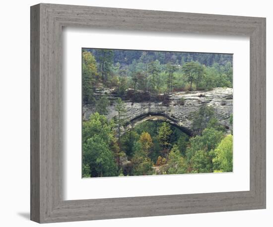 Natural Arch, Daniel Boone National Forest, Whitley City, Kentucky, USA-Adam Jones-Framed Photographic Print