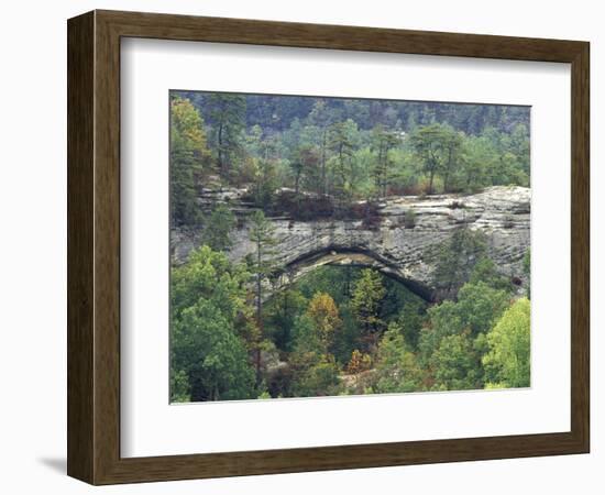 Natural Arch, Daniel Boone National Forest, Whitley City, Kentucky, USA-Adam Jones-Framed Photographic Print