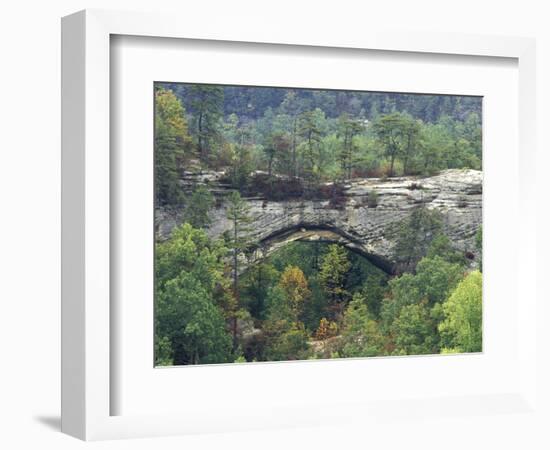 Natural Arch, Daniel Boone National Forest, Whitley City, Kentucky, USA-Adam Jones-Framed Photographic Print