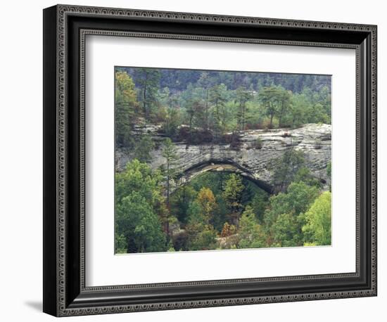 Natural Arch, Daniel Boone National Forest, Whitley City, Kentucky, USA-Adam Jones-Framed Photographic Print