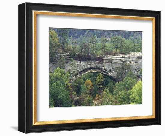 Natural Arch, Daniel Boone National Forest, Whitley City, Kentucky, USA-Adam Jones-Framed Photographic Print