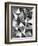 Natural Architecture 2 B&W-Edith Lentz-Framed Art Print