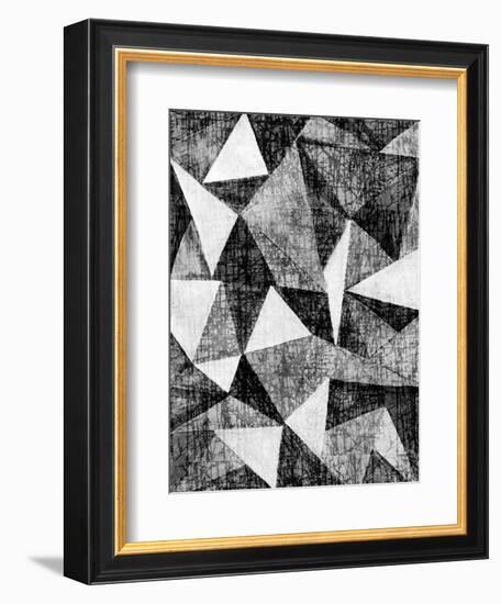 Natural Architecture 2 B&W-Edith Lentz-Framed Art Print