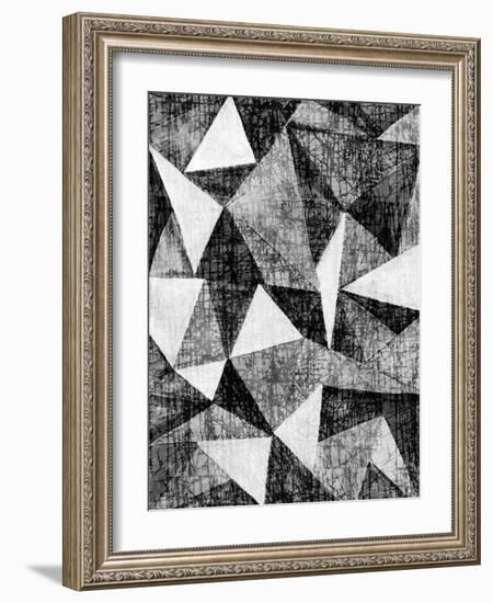 Natural Architecture 2 B&W-Edith Lentz-Framed Art Print