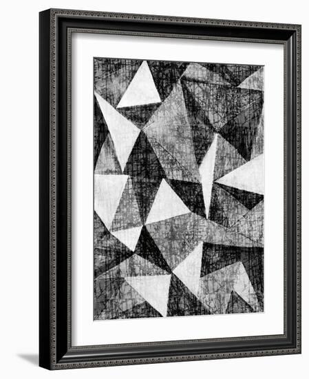 Natural Architecture 2 B&W-Edith Lentz-Framed Art Print