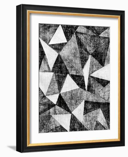 Natural Architecture 2 B&W-Edith Lentz-Framed Art Print