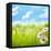 Natural Background with Daisy Flower on Grass-Liang Zhang-Framed Premier Image Canvas