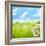 Natural Background with Daisy Flower on Grass-Liang Zhang-Framed Photographic Print