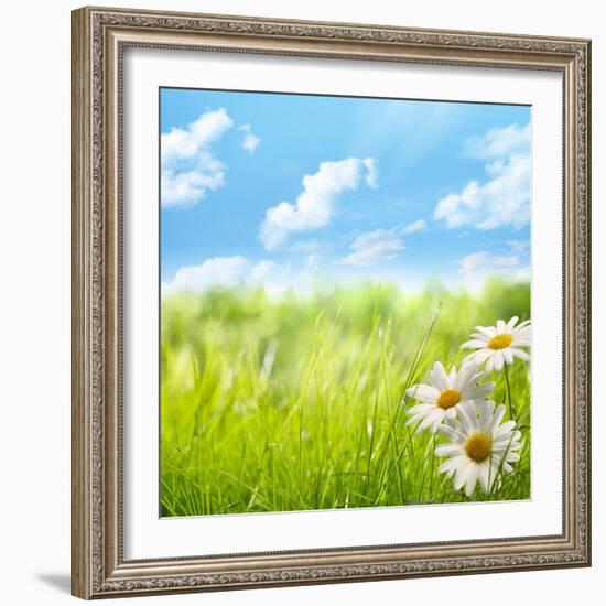 Natural Background with Daisy Flower on Grass-Liang Zhang-Framed Photographic Print