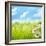 Natural Background with Daisy Flower on Grass-Liang Zhang-Framed Photographic Print