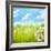 Natural Background with Daisy Flower on Grass-Liang Zhang-Framed Photographic Print