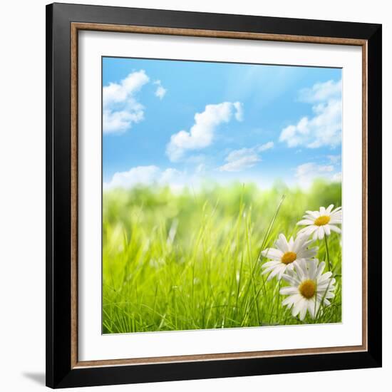 Natural Background with Daisy Flower on Grass-Liang Zhang-Framed Photographic Print