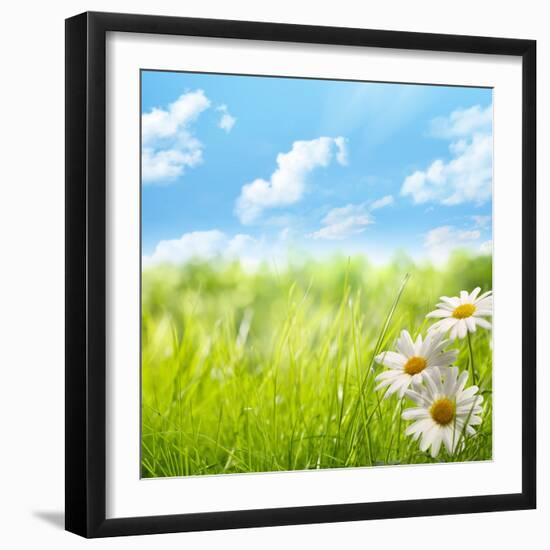 Natural Background with Daisy Flower on Grass-Liang Zhang-Framed Photographic Print