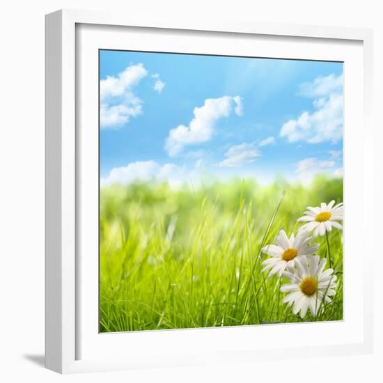 Natural Background with Daisy Flower on Grass-Liang Zhang-Framed Photographic Print